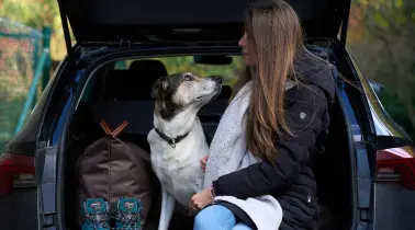 Mon chien partout avec moi 