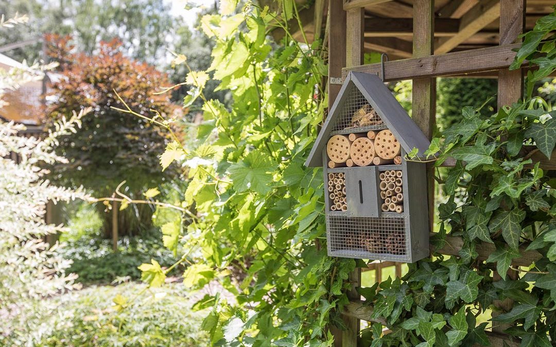 Installer un hôtel à insectes dans son jardin - Blog jardin