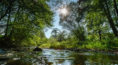               Le Parc national de l'Entre-Sambre-et-Meuse                                                       