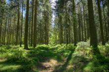 Ontdek deze 8 zones in “de Ardennen”