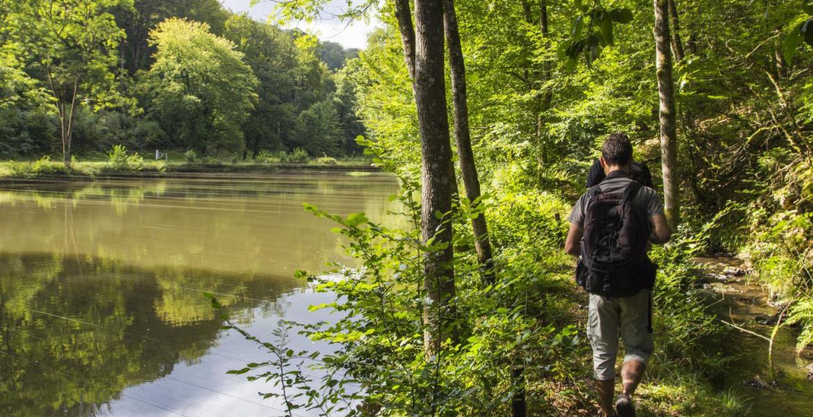 3 escapades au coeur de l’Ardenne authentique à moins de 2h de Bruxelles !