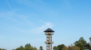 une promenade réussie avec les petits