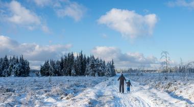 Sneeuwwandelingen Ardennen