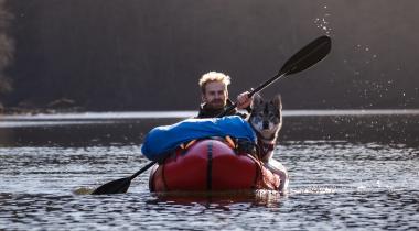 6 activités à faire en Ardenne avec son chien