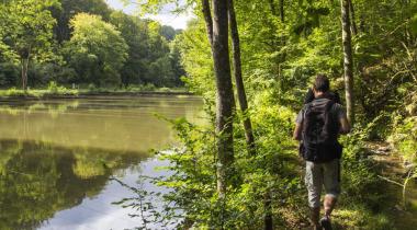 3 escapades au coeur de l’Ardenne authentique à moins de 2h de Bruxelles !