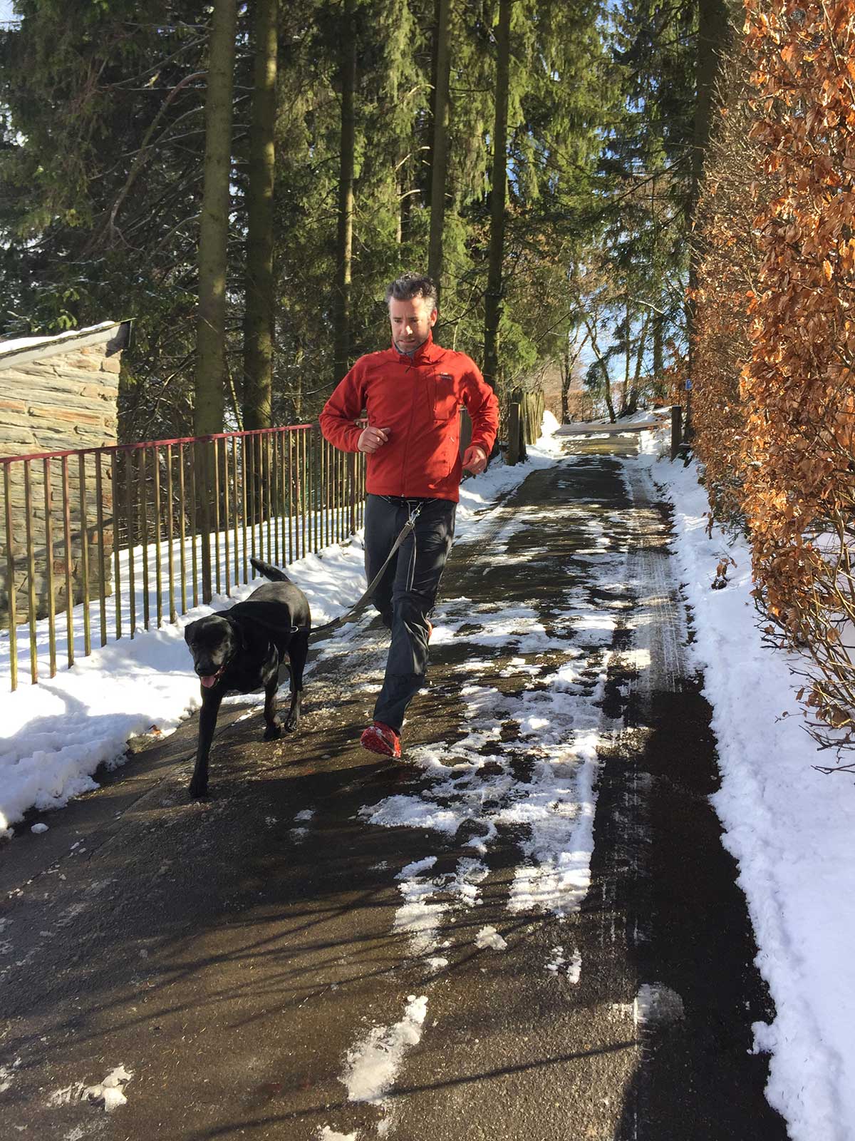Canicross, Jogging & marche pour chiens