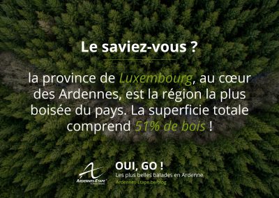 luxembourg-bois