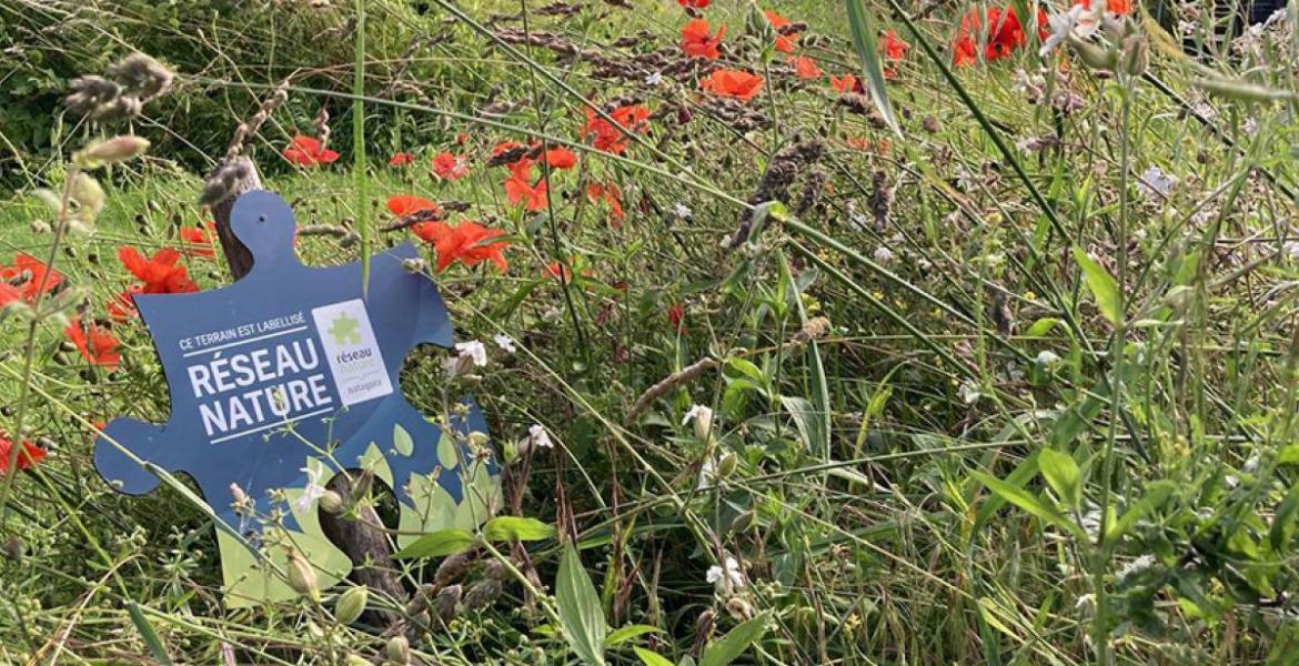 Ardennes étape crée un Programme d’Accompagnement stimulant la biodiversité LOCALE dans les jardins de ses maisons de vacances