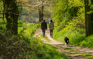 S�journez avec votre chien