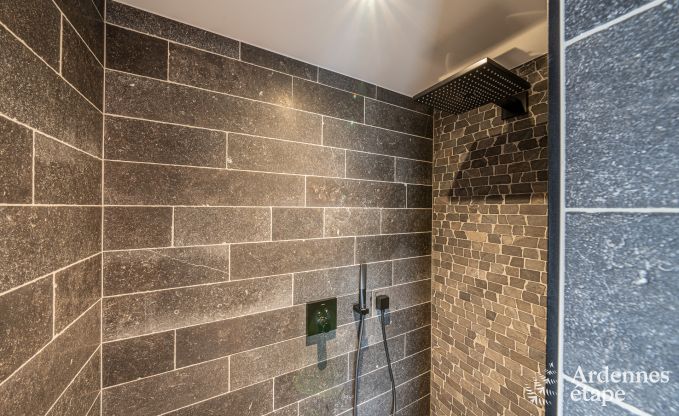 Appartement de luxe  Amel : sjour romantique pour 4 personnes avec sauna et jacuzzi en Ardenne