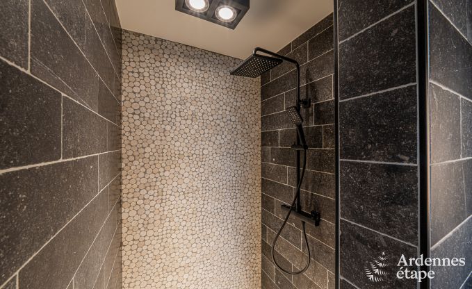 Appartement de luxe  Amel : sjour romantique pour 4 personnes avec sauna et jacuzzi en Ardenne