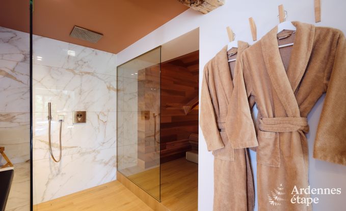 Maison de vacances avec wellness  Aubel