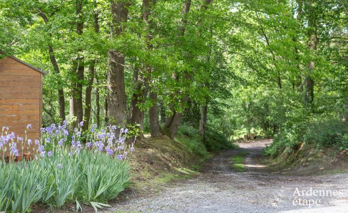 Villa de Luxe  Aubel pour 11 personnes en Ardenne