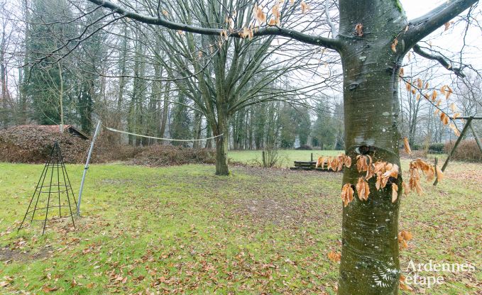 Maison de vacances  Aywaille pour 14 personnes en Ardenne