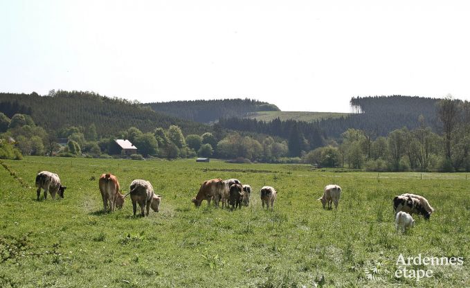 Maison de vacances  Bastogne pour 9 personnes en Ardenne