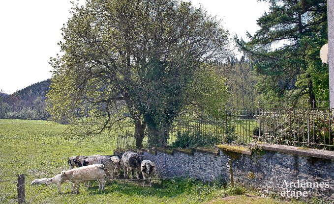 Maison de vacances  Bastogne pour 9 personnes en Ardenne