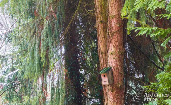 Maison de vacances � Bastogne pour 4 personnes en Ardenne