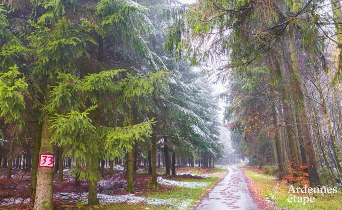 Maison de vacances � Bastogne pour 4 personnes en Ardenne