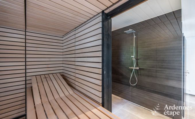 Villa de Luxe  Bastogne pour 12 personnes en Ardenne