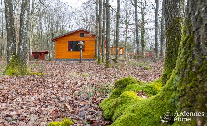 Moderne, maison chien admis chalet dans les forts autour de Beauraing, Ardenne
