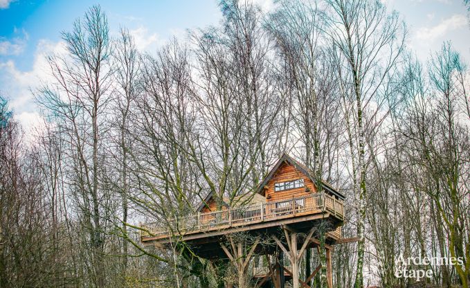 Le top des cabanes en Ardenne - Tourisme en Ardenne