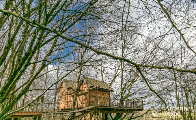 Cabane perchée pour 4/6 personnes à louer en Ardenne (Bertrix)