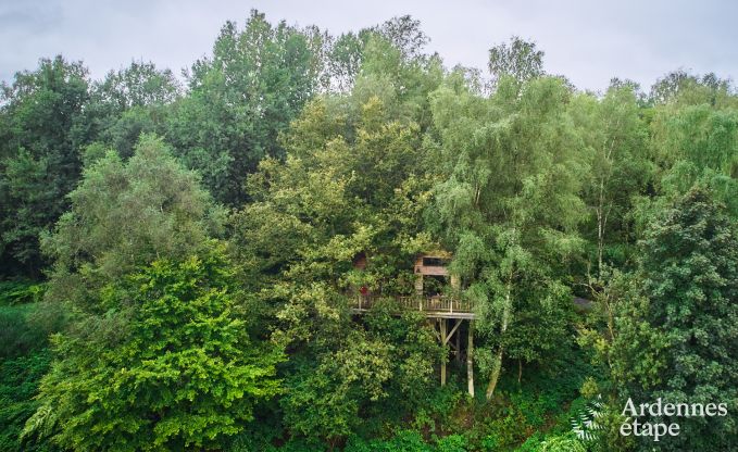 Gte insolite  Bertrix pour 4/6 personnes en Ardenne