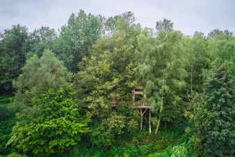 Cabane perche pour 4/6 personnes  louer en Ardenne (Bertrix)