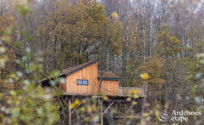 Cabane perchée pour 8 personnes à louer en Ardenne (Bertrix)