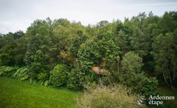 Cabane perche  Bertrix en Ardenne