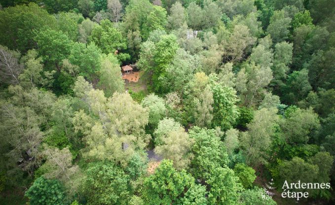 Cabane dans les arbres  Bertrix, Ardenne