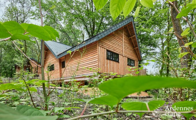 Cabane dans les arbres  Bertrix, Ardenne