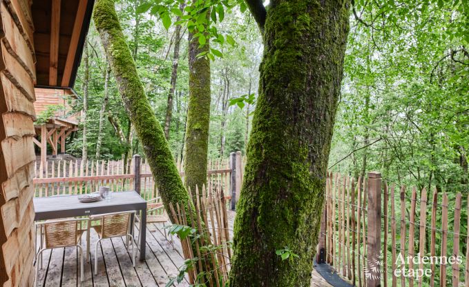 Cabane dans les arbres  Bertrix, Ardenne