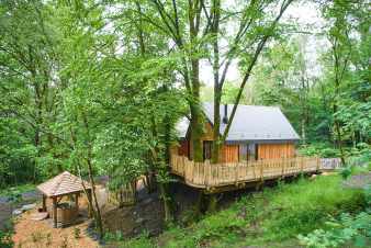 Maison de vacances unique  Bertrix, Ardenne : cabane dans les arbres pour 8 personnes