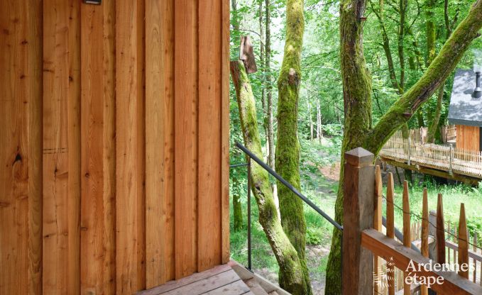 Magnifique maison sur pilotis en bois Bertrix, Ardenne