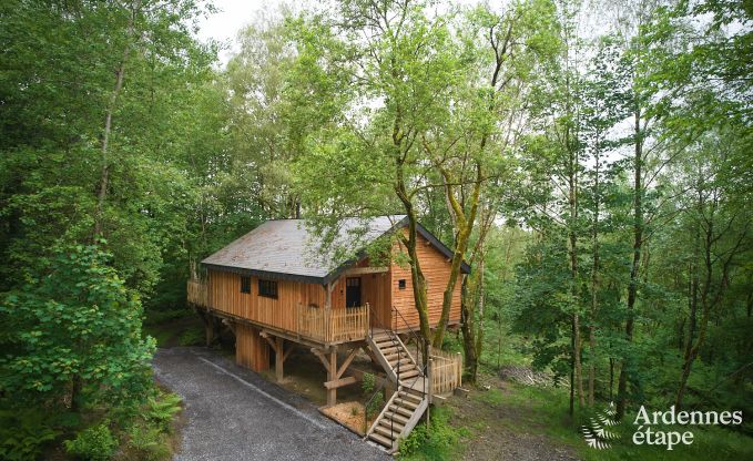 Magnifique maison sur pilotis en bois Bertrix, Ardenne