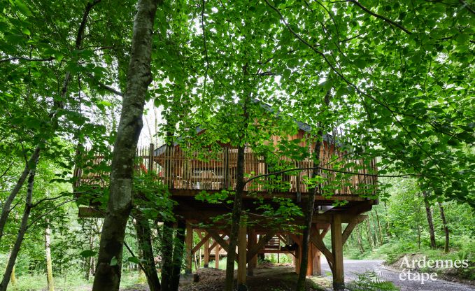 Magnifique maison sur pilotis en bois Bertrix, Ardenne