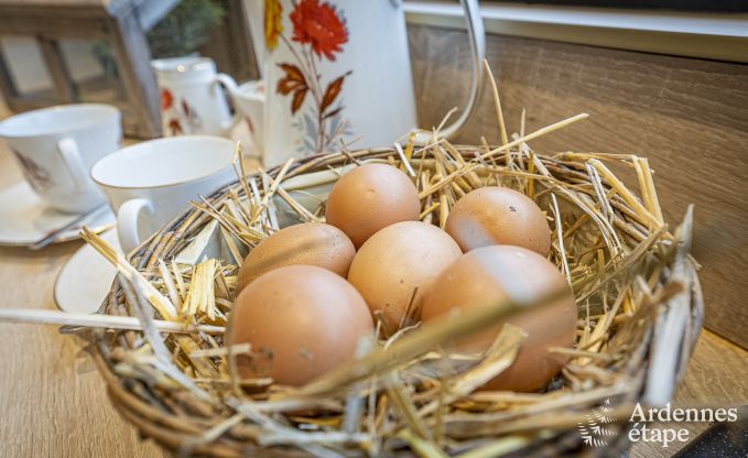 Maison de vacances � Bertrix pour 6 personnes en Ardenne