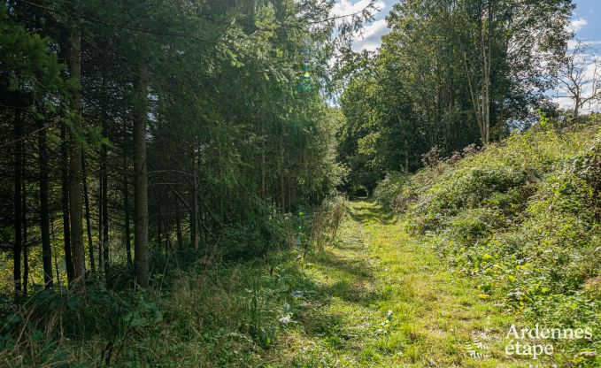 Maison de vacances  Bertrix pour 4 personnes en Ardenne