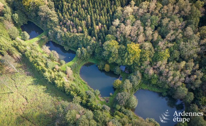 Maison de vacances  Bertrix pour 4 personnes en Ardenne