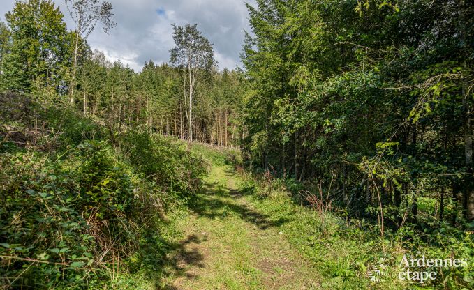 Maison de vacances  Bertrix pour 4 personnes en Ardenne