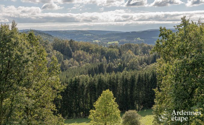 Villa de Luxe  Bertrix pour 11 personnes en Ardenne