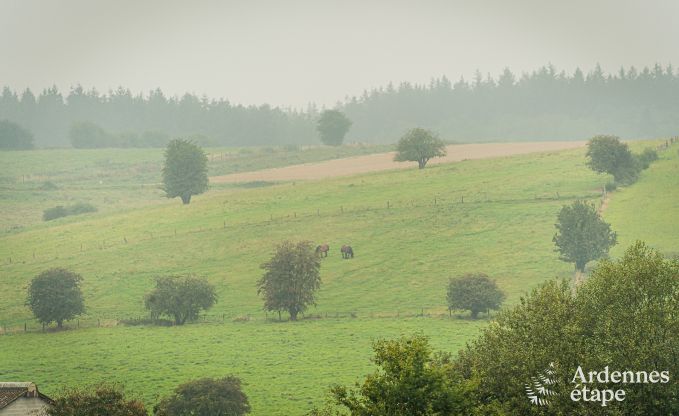 Maison de vacances avec piscine  Bivre, Ardenne