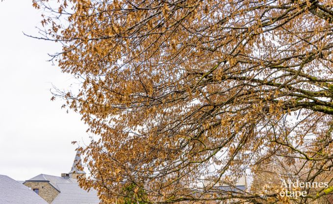 Maison de vacances � Bi�vre pour 7 personnes en Ardenne