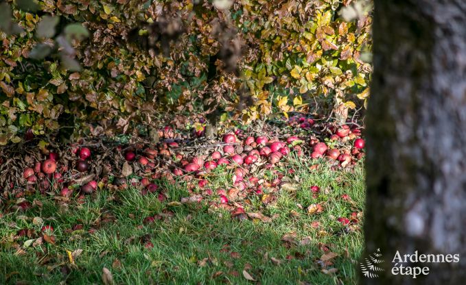 Chalet � Bouillon pour 4 personnes en Ardenne