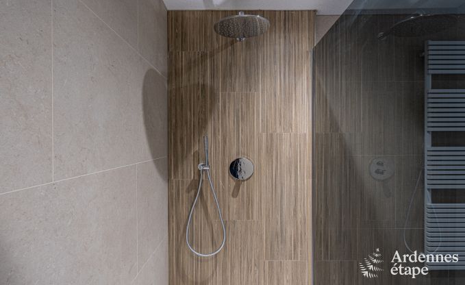 Chalet de luxe � Brognon pour 20 personnes avec piscine ext�rieure chauff�e, jacuzzi ext�rieur et sauna au bord du lac