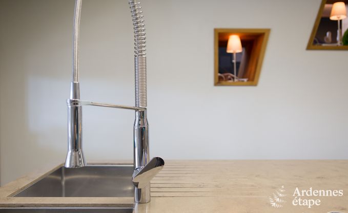 Villa de Luxe � Butgenbach (Heppenbach) pour 24 personnes en Ardenne