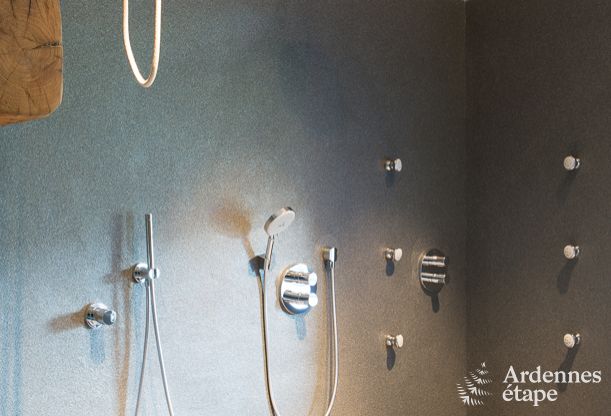 Villa de Luxe � Butgenbach (Heppenbach) pour 24 personnes en Ardenne