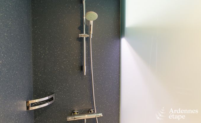 Villa de Luxe � Butgenbach (Heppenbach) pour 24 personnes en Ardenne