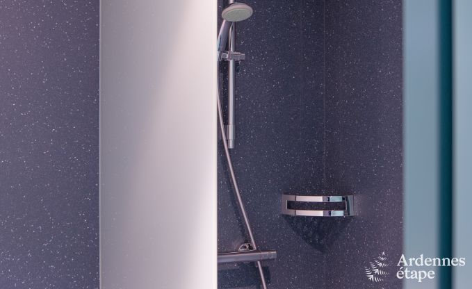 Villa de Luxe � Butgenbach (Heppenbach) pour 24 personnes en Ardenne